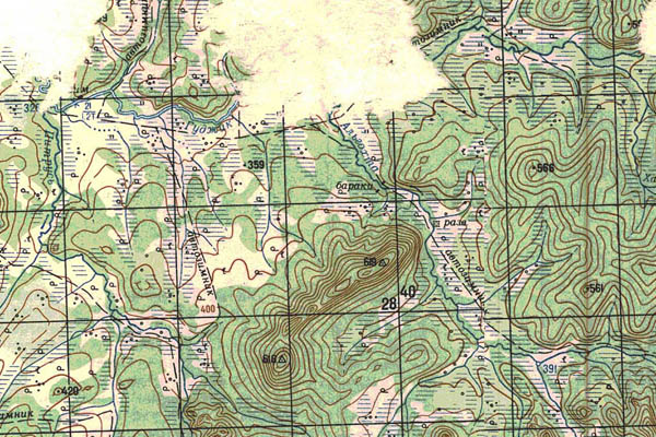 Уменьшенный фрагмент представленной топографической карты M-53-19 - Trasa.ru