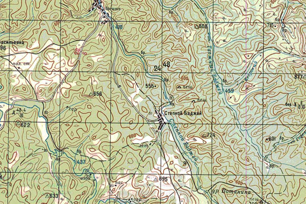 Уменьшенный фрагмент представленной топографической карты N-46-10 - Trasa.ru