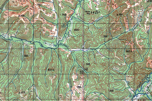 Уменьшенный фрагмент представленной топографической карты N-51-04 - Trasa.ru