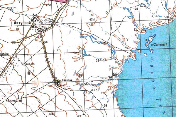 Уменьшенный фрагмент представленной топографической карты N-43-19 - Trasa.ru