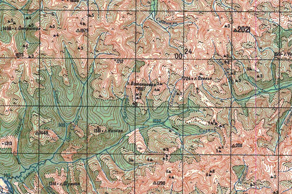 Уменьшенный фрагмент представленной топографической карты N-53-02 - Trasa.ru
