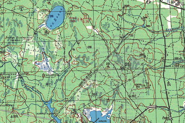 Уменьшенный фрагмент представленной топографической карты O-41-26 - Trasa.ru