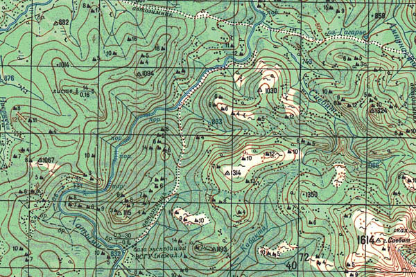 Уменьшенный фрагмент представленной топографической карты O-51-30 - Trasa.ru