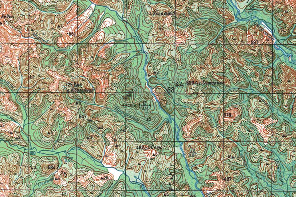 Уменьшенный фрагмент представленной топографической карты O-54-10 - Trasa.ru